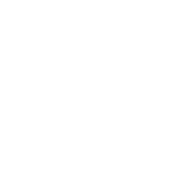 STATUS ITALIA
