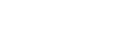 BRUNO ZAMPA